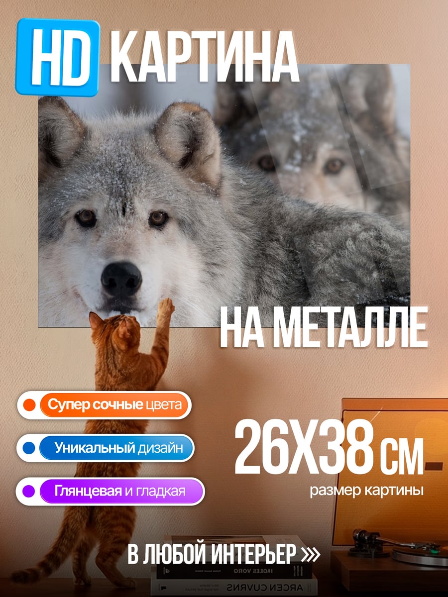 Картина на металле Два волка