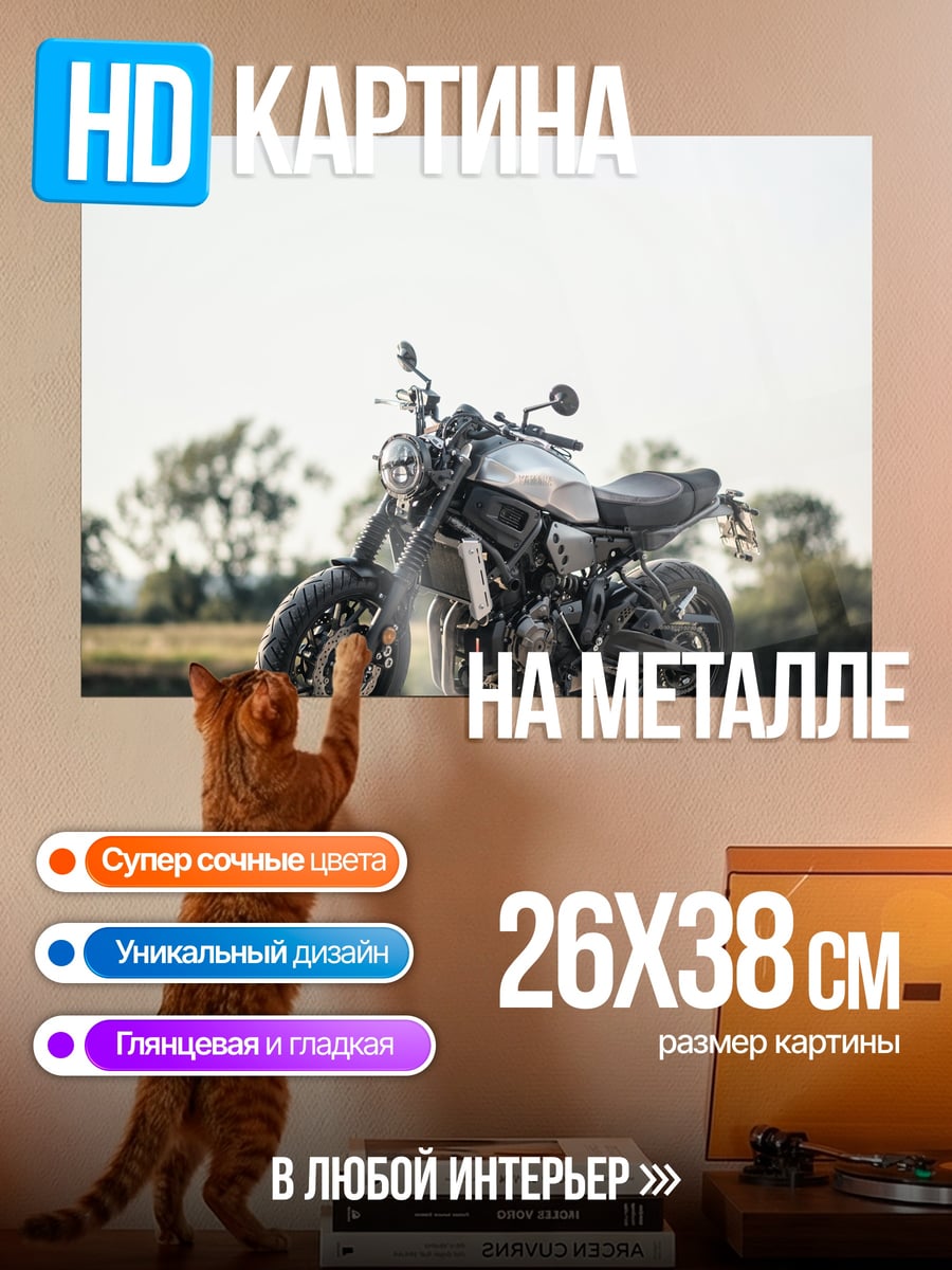 Картина на металле Мотоцикл на дороге