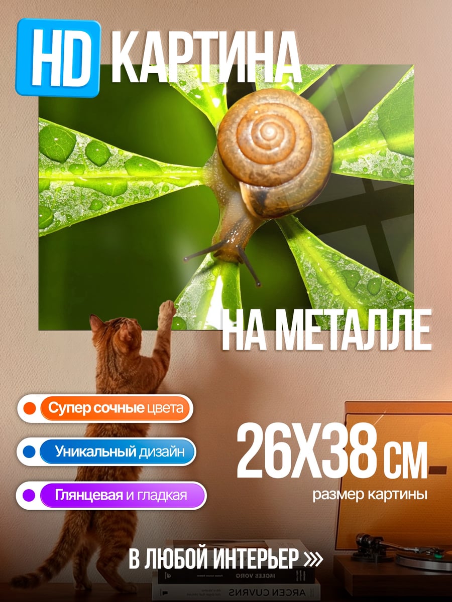 Картина на металле Улитка на листе