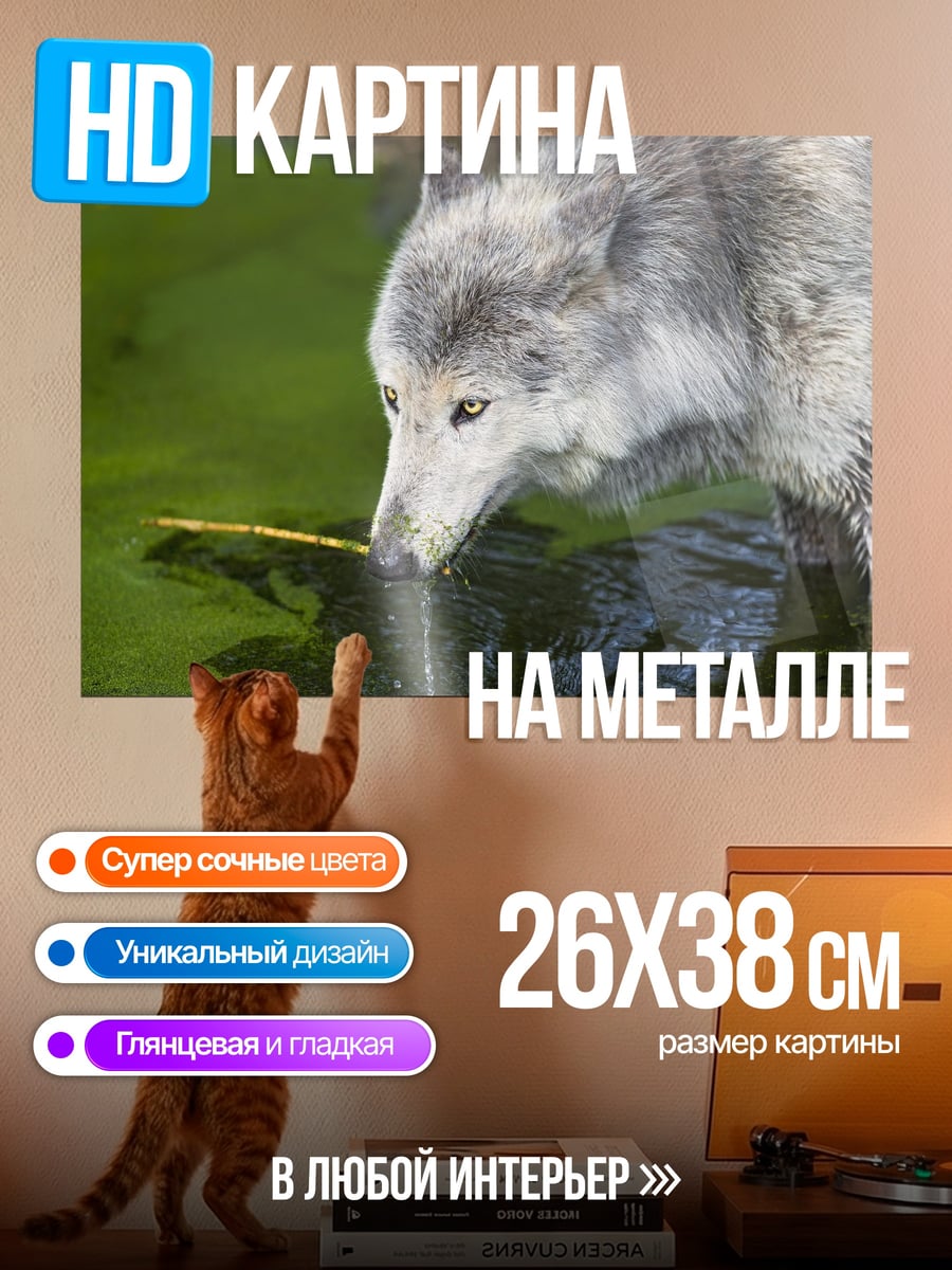 Картина на металле Волк у воды