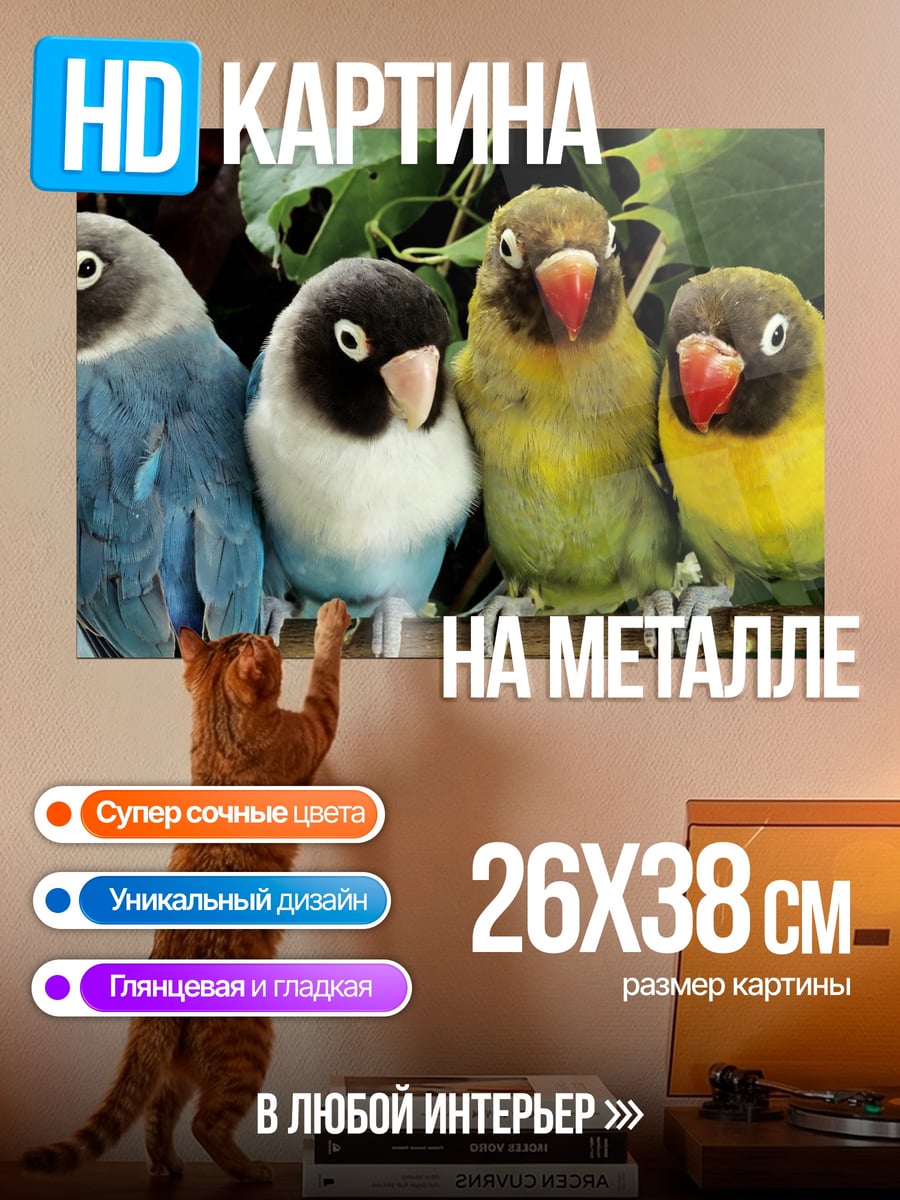 Картина на металле Четыре попугая