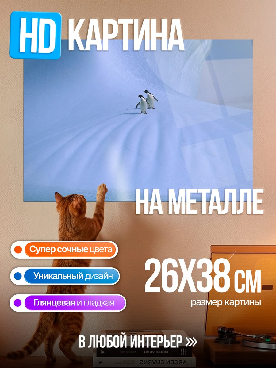 Картина на металле пингвины на льдине
