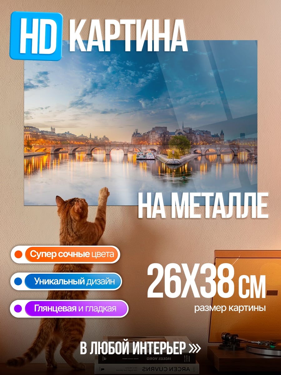 Картина на металле Парижский мост на закате