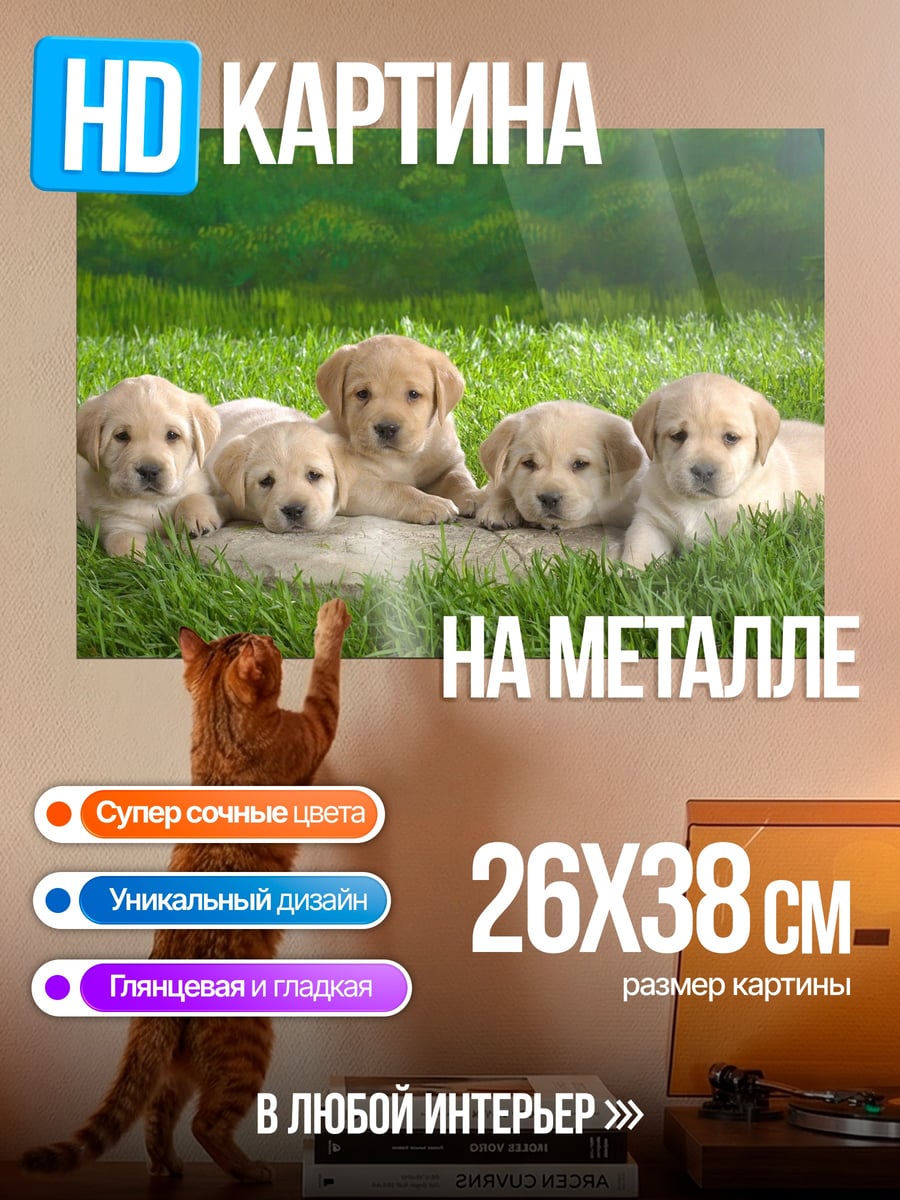 Картина на металле Щенки лабрадора на траве