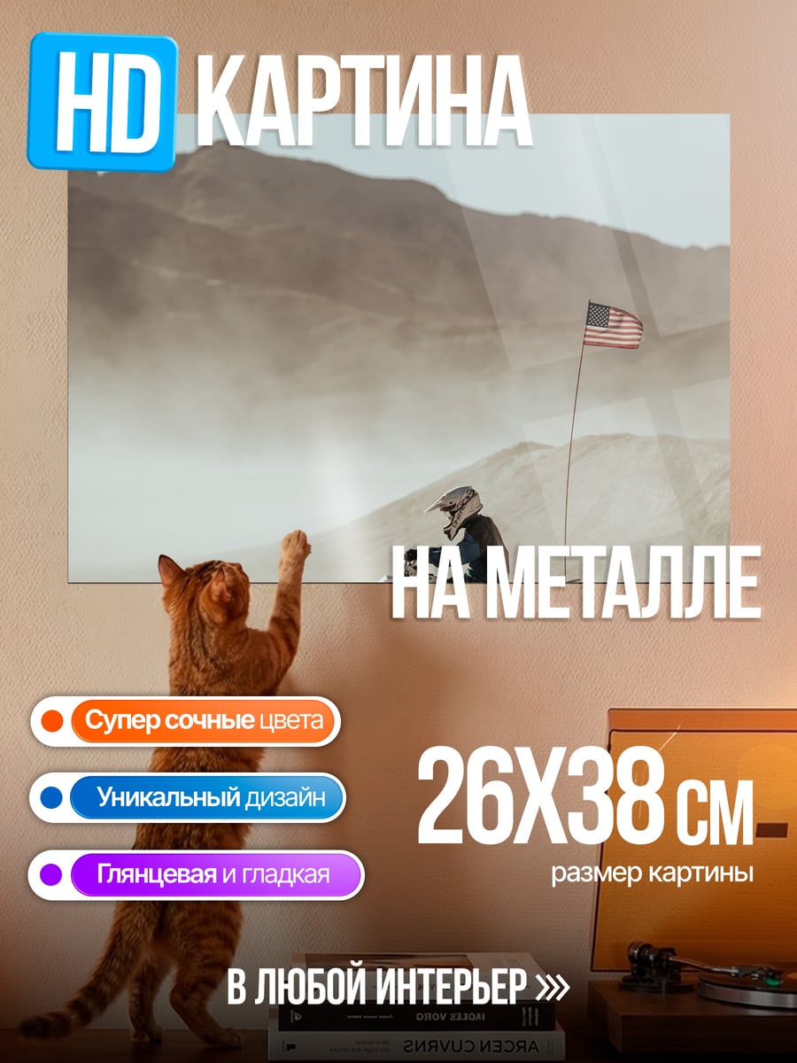Картина на металле Квадроцикл в пустыне