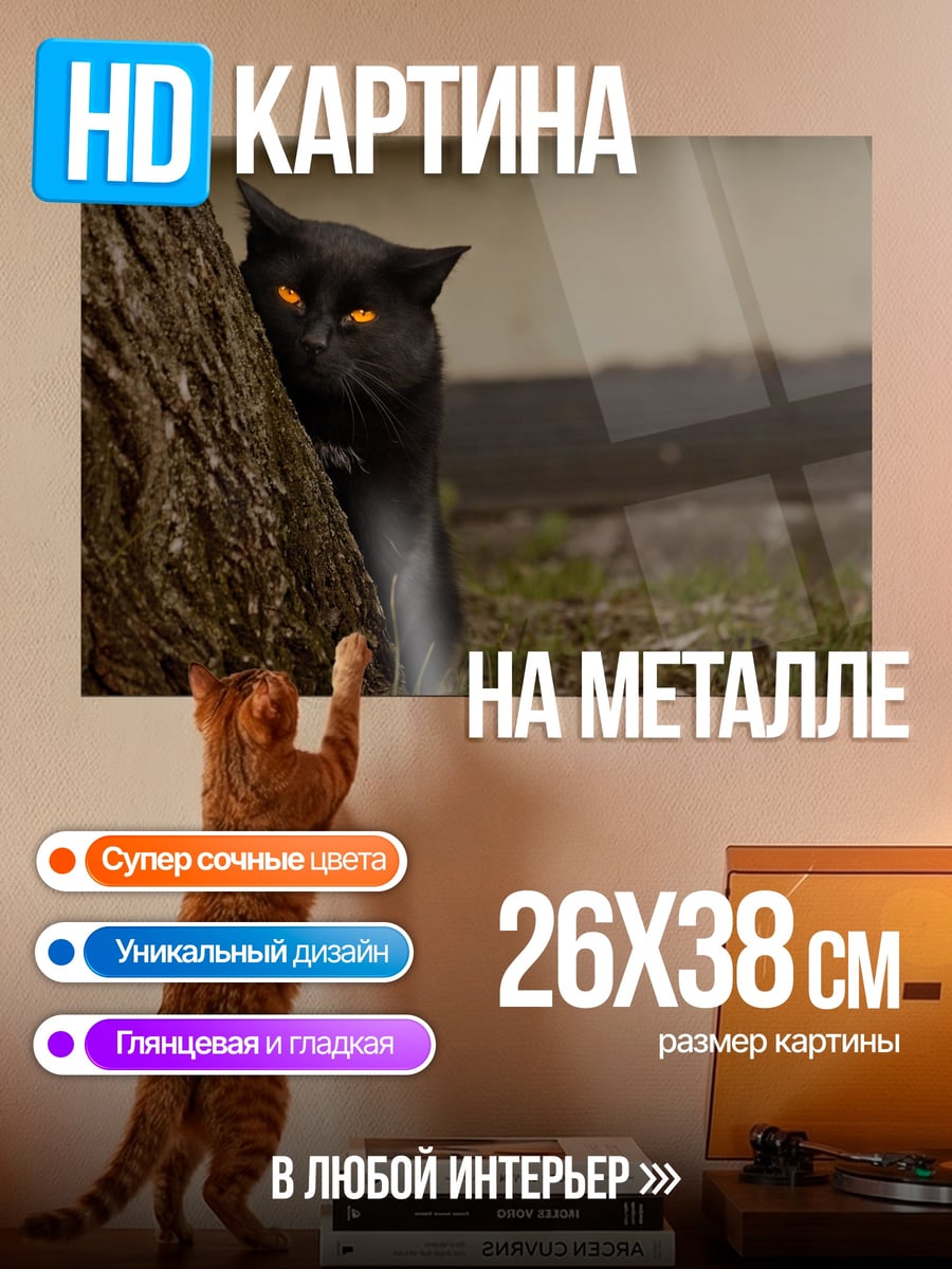 Картина на металле Черный кот