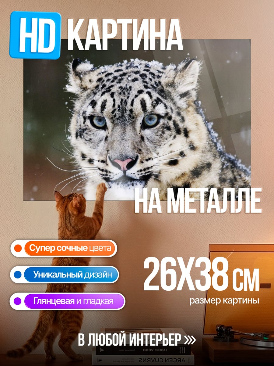 Картина на металле Снежный барс