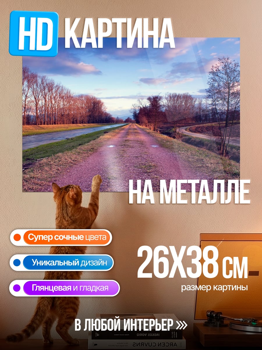 Картина на металле Осенняя дорога