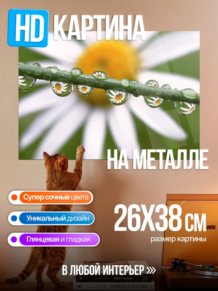 Картина на металле Капли на траве