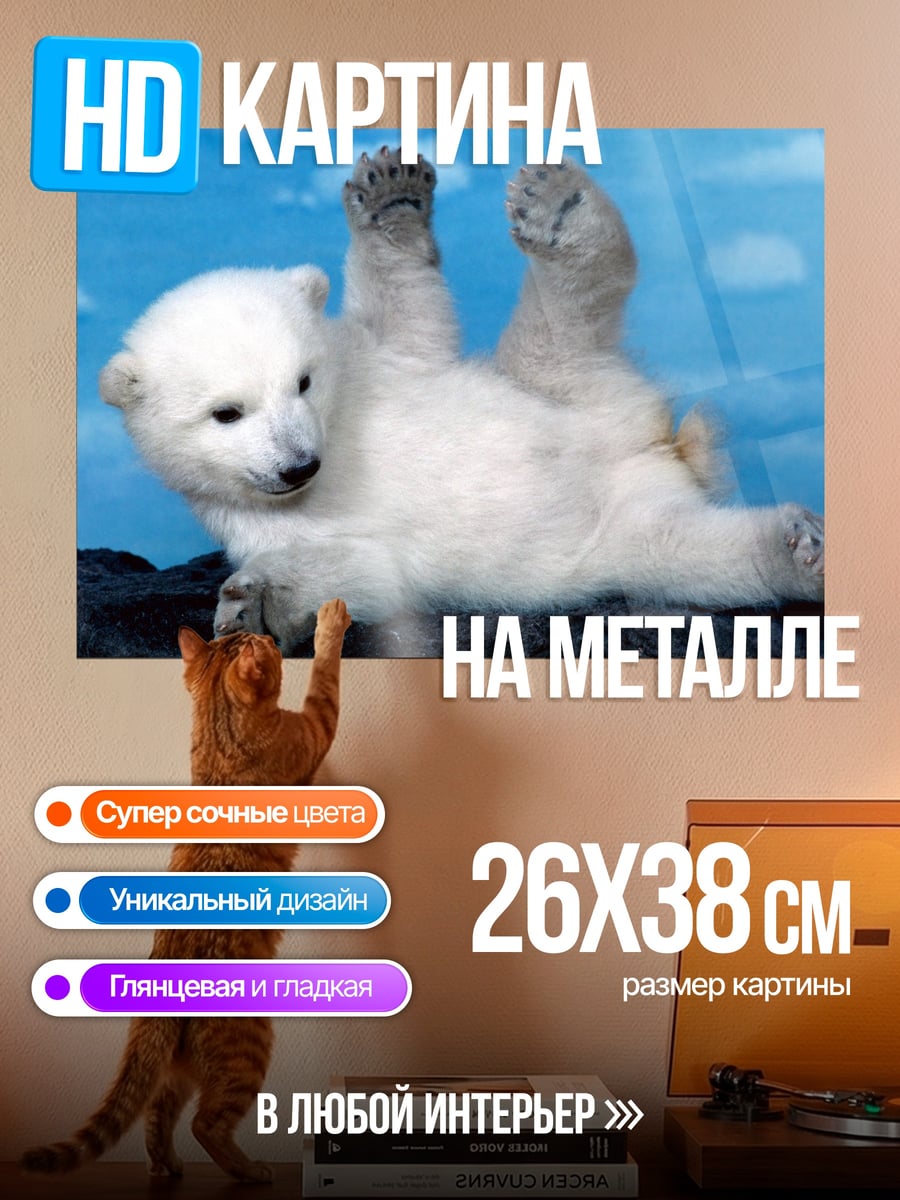 Картина на металле белый медвежонок играет