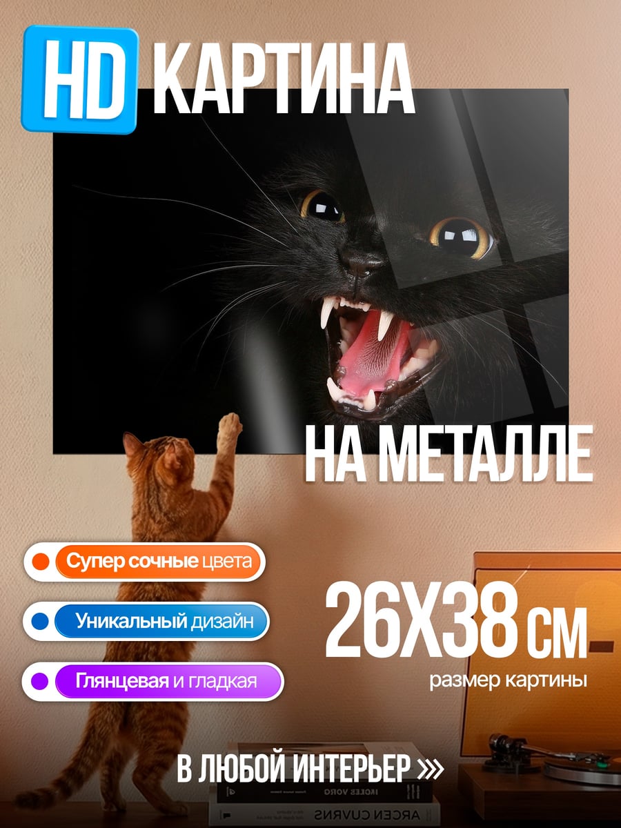 Картина на металле Злой черный кот