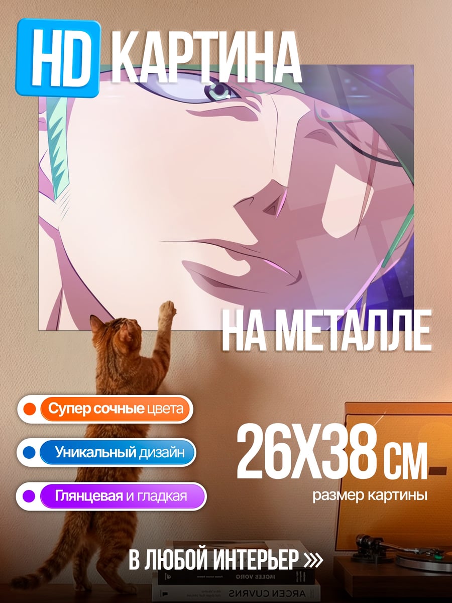 Картина на металле Зоро из Ван Пис