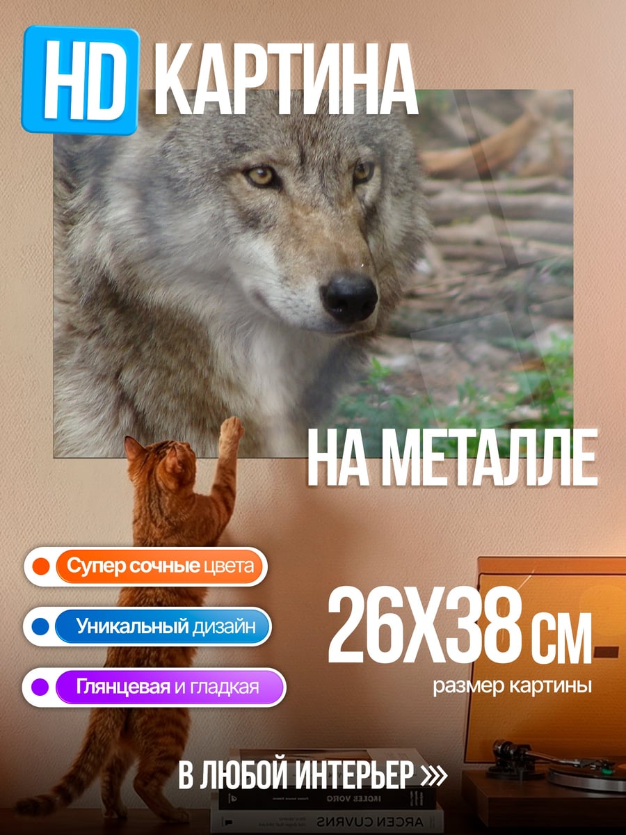 Картина на металле Портрет волка
