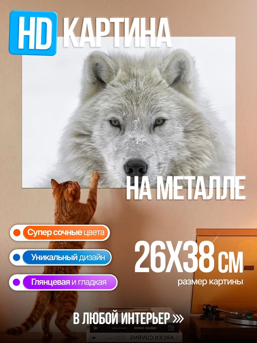 Картина на металле Белый волк в снегу