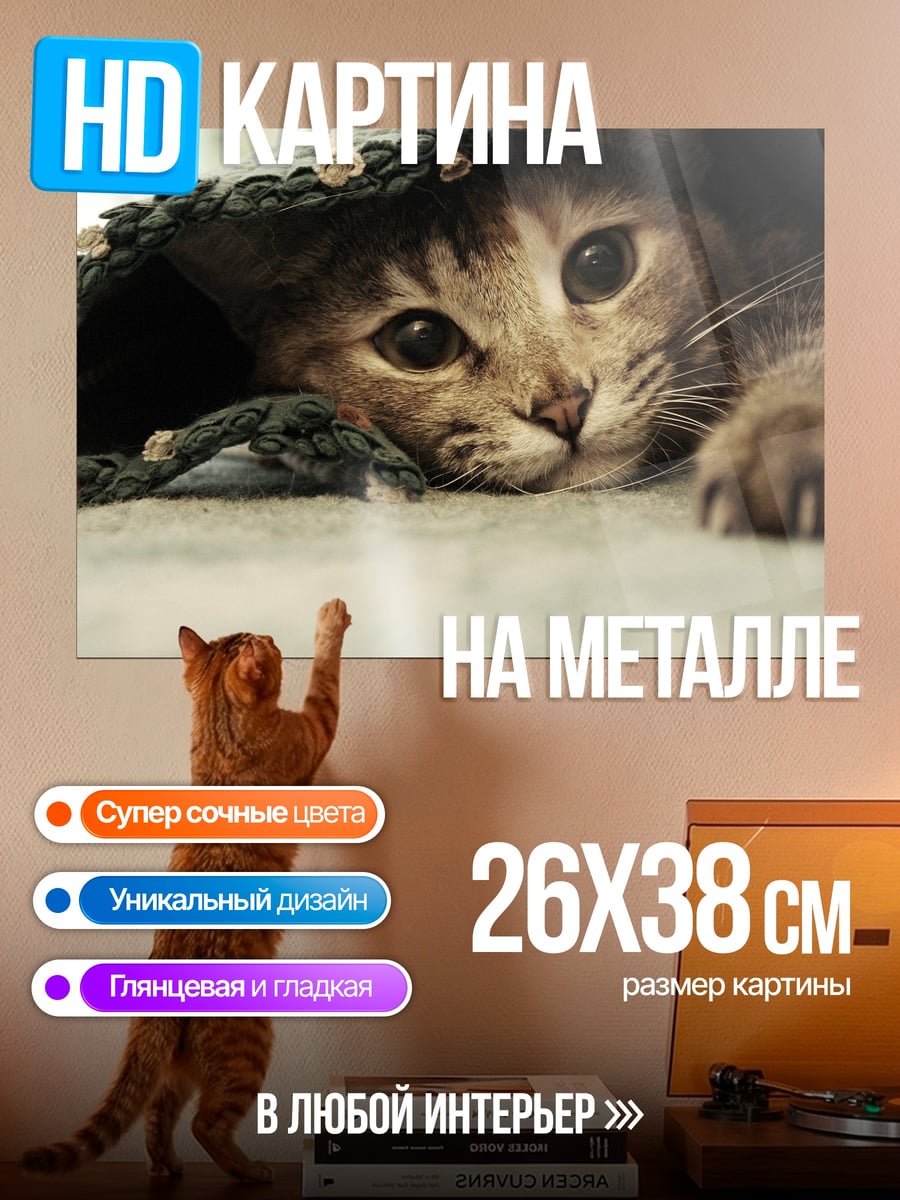 Картина на металле Кот под пледом