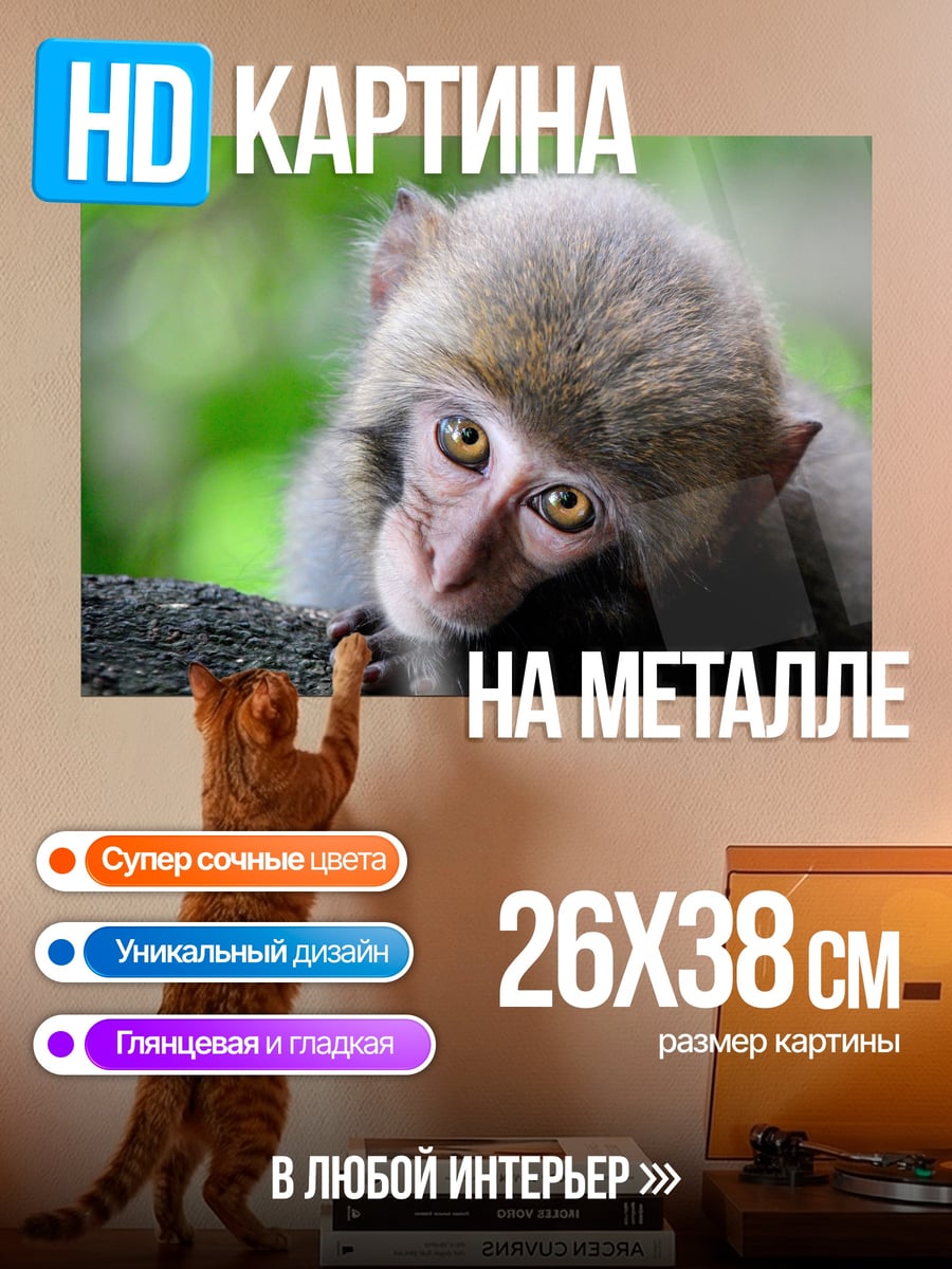 Картина на металле грустная обезьянка