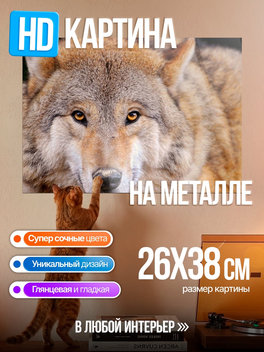 Картина на металле портрет волка