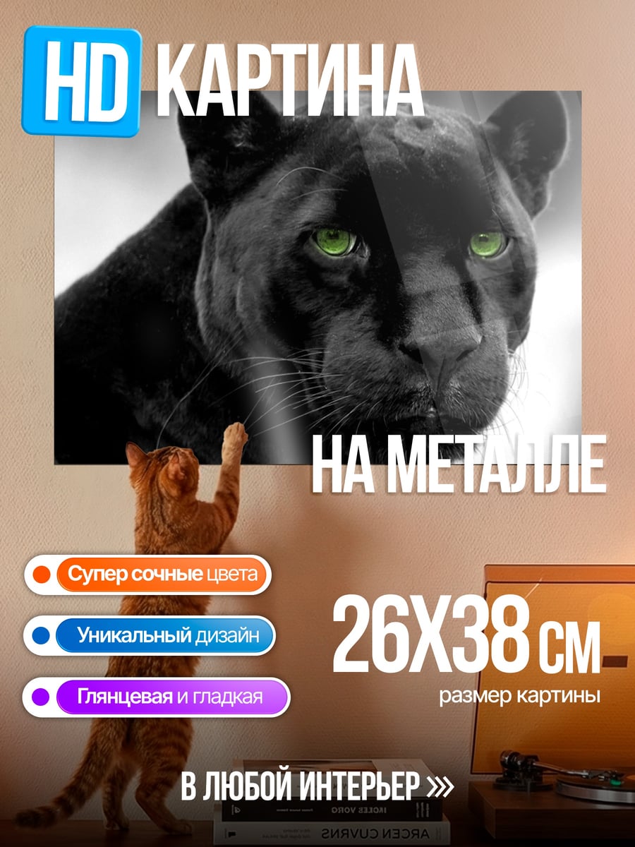 Картина на металле Черная пантера глаза