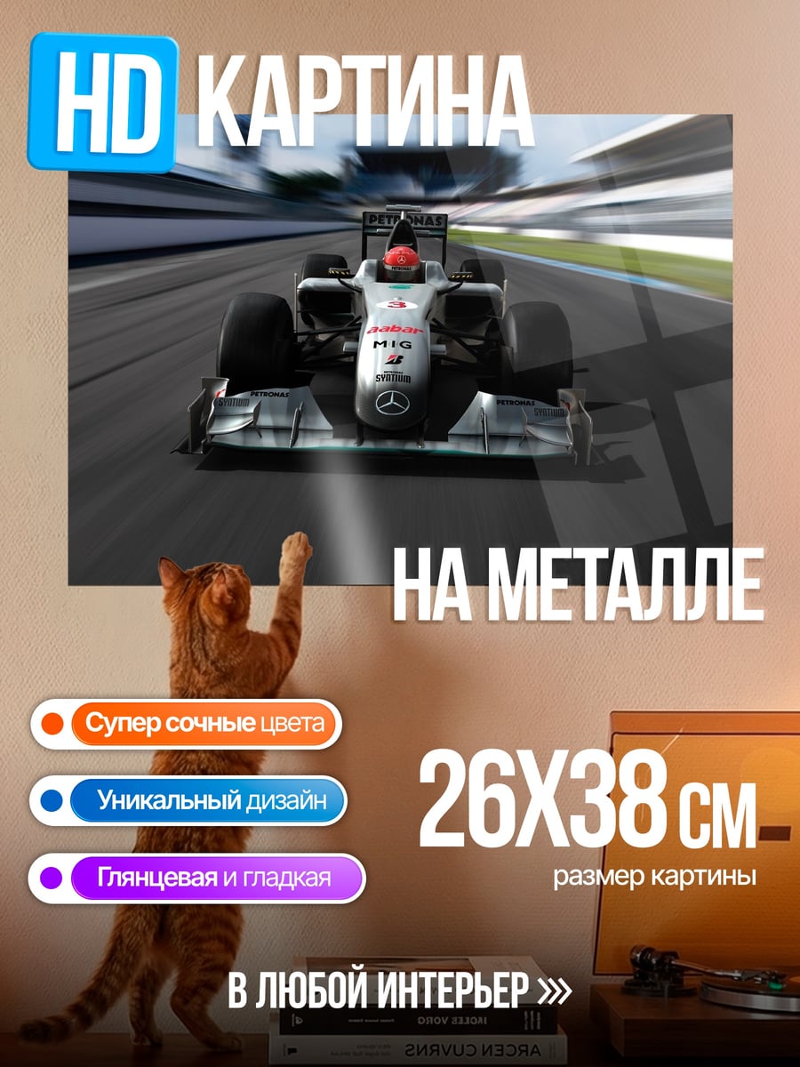 Картина на металле Гоночный болид трасса