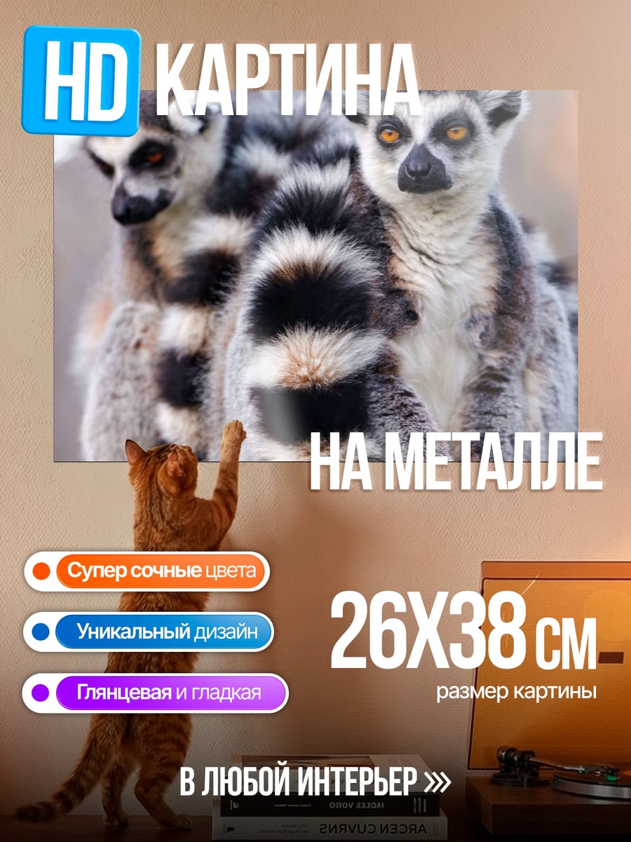 Картина на металле Две лемура мама и детеныш