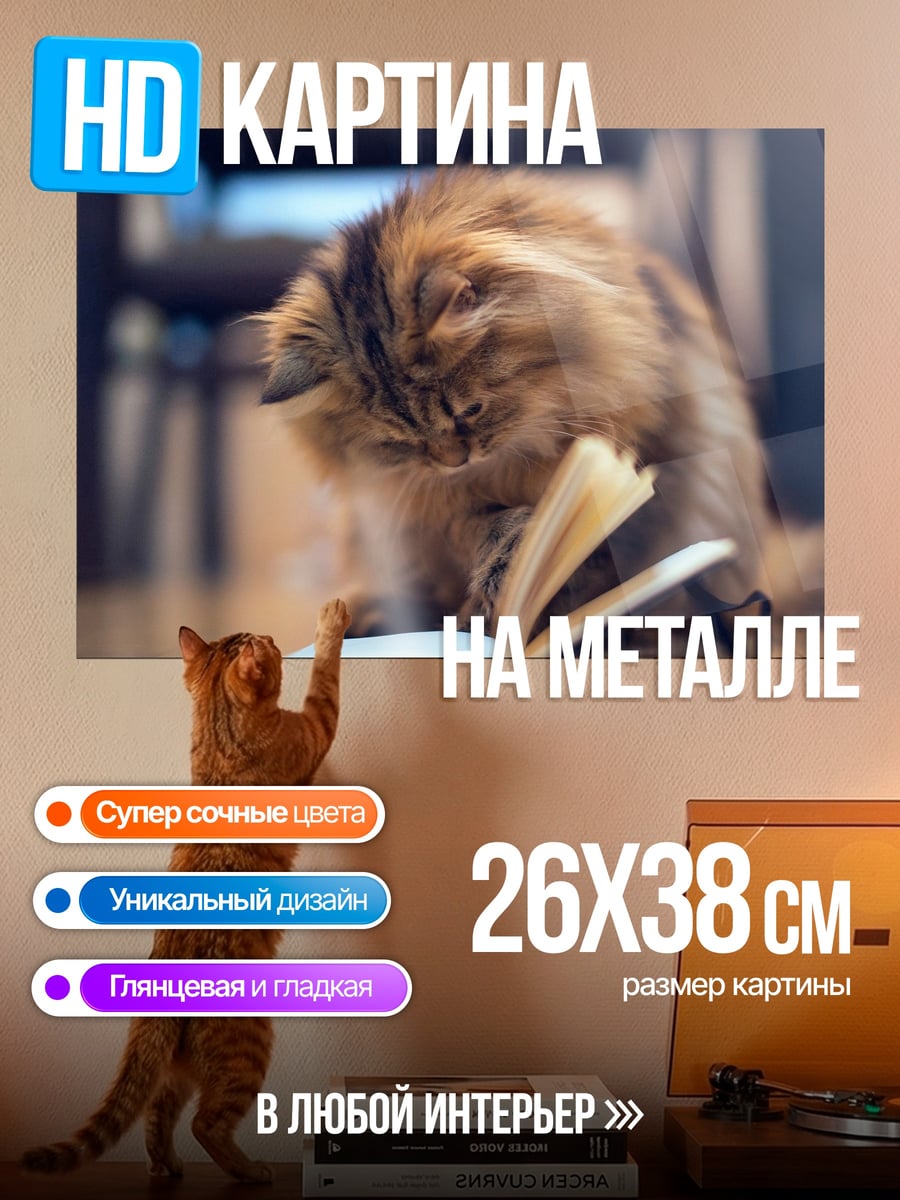 Картина на металле пушистый кот читает