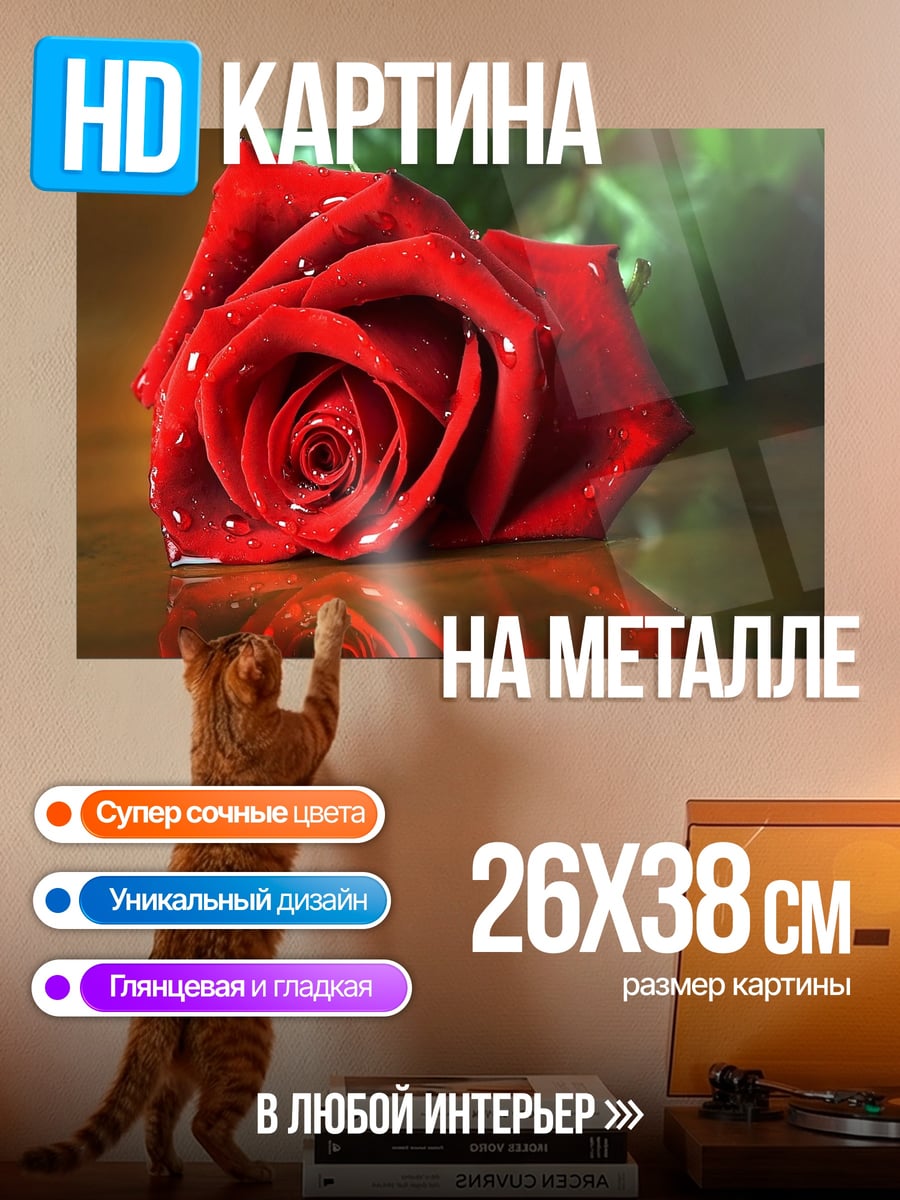Картина на металле красная роза с каплями