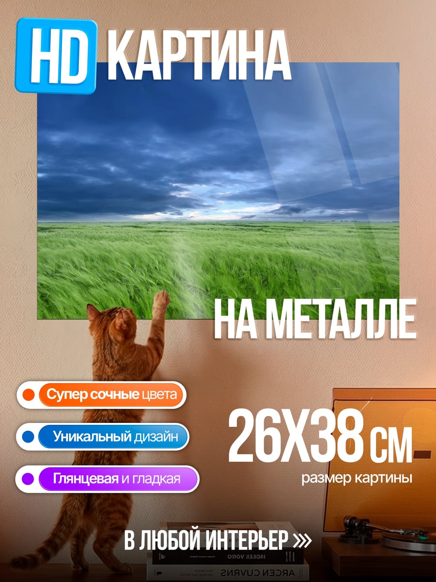 Картина на металле Зеленое поле гроза