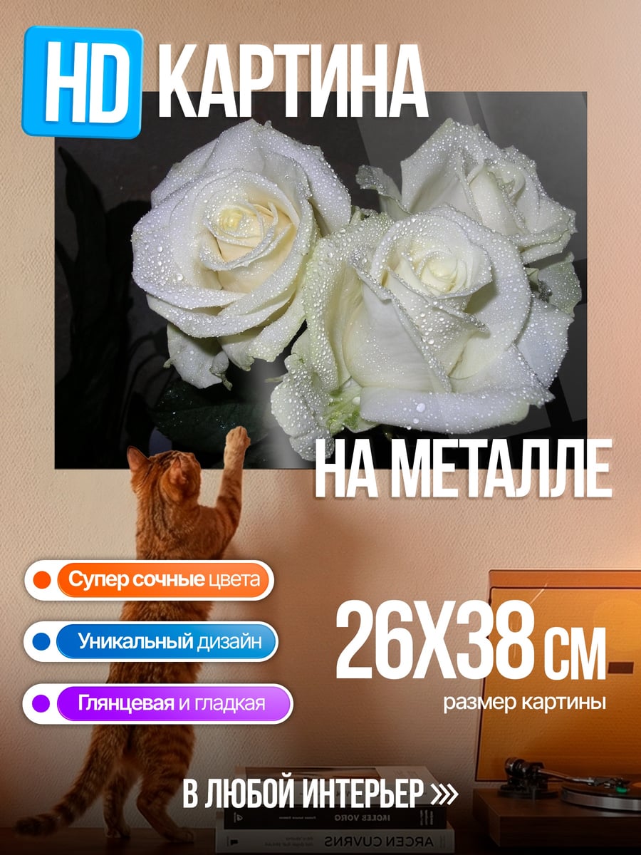 Картина на металле Белые розы капли