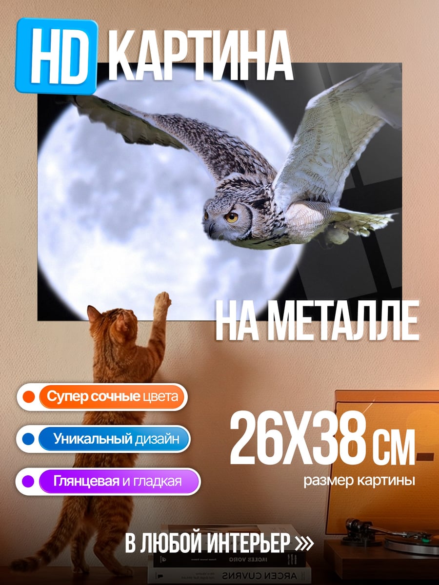 Картина на металле сова на фоне луны