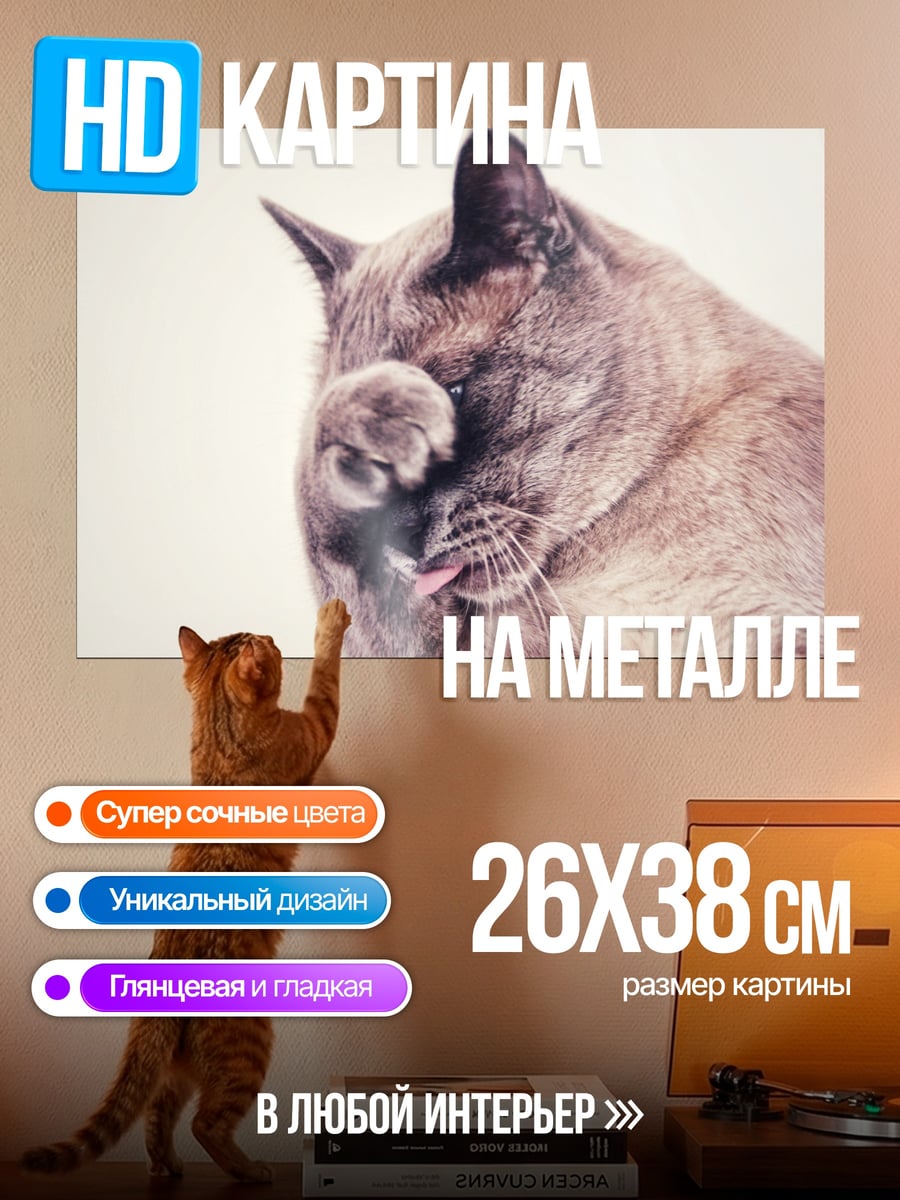 Картина на металле Умывающийся кот