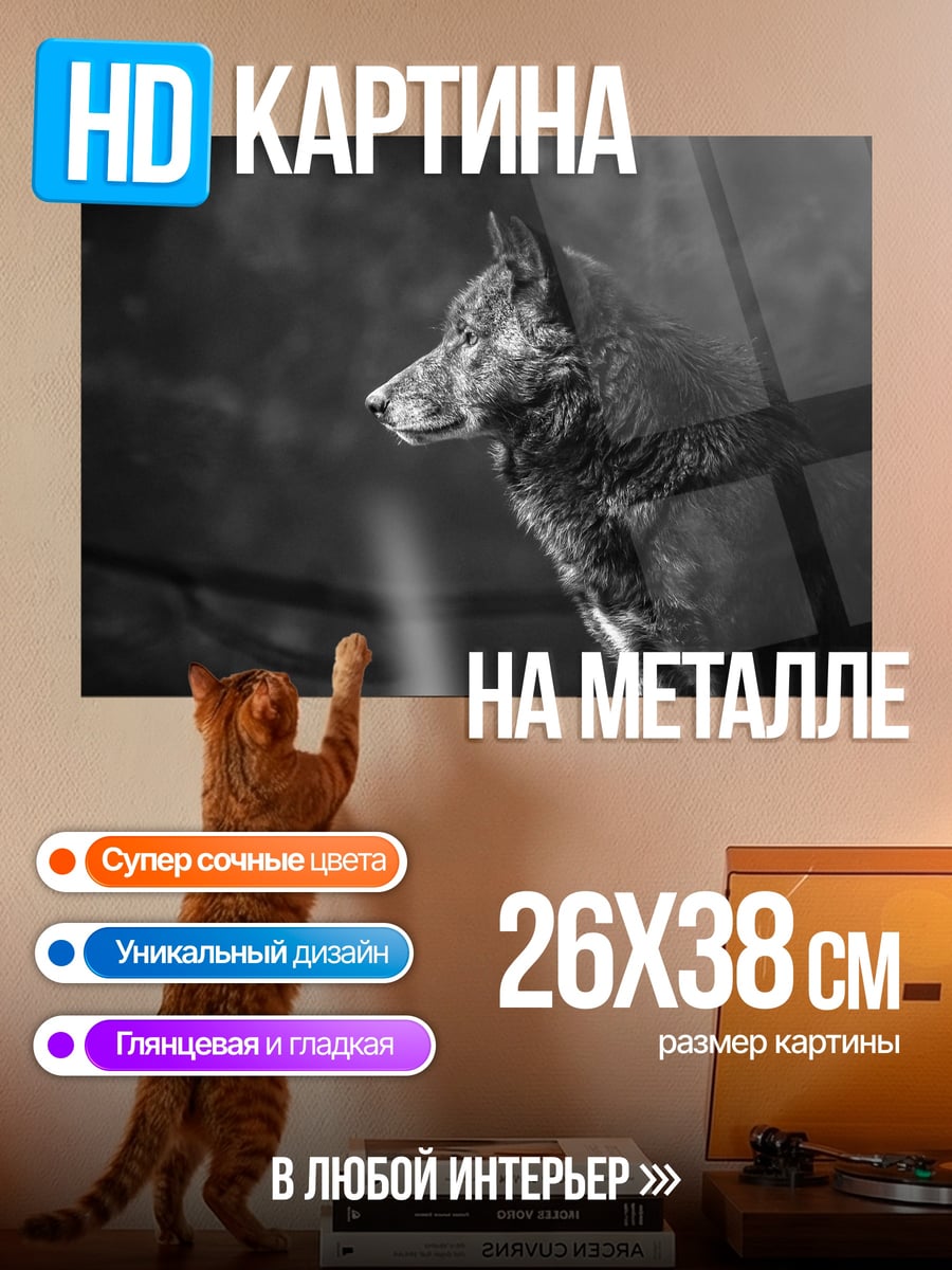 Картина на металле черно белый волк