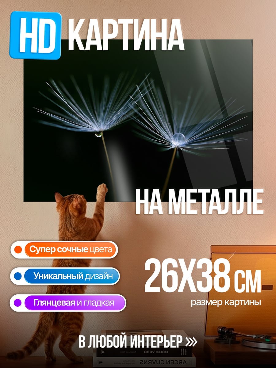 Картина на металле Два одуванчика с каплями