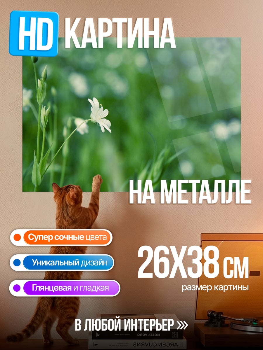 Картина на металле поле белых цветов