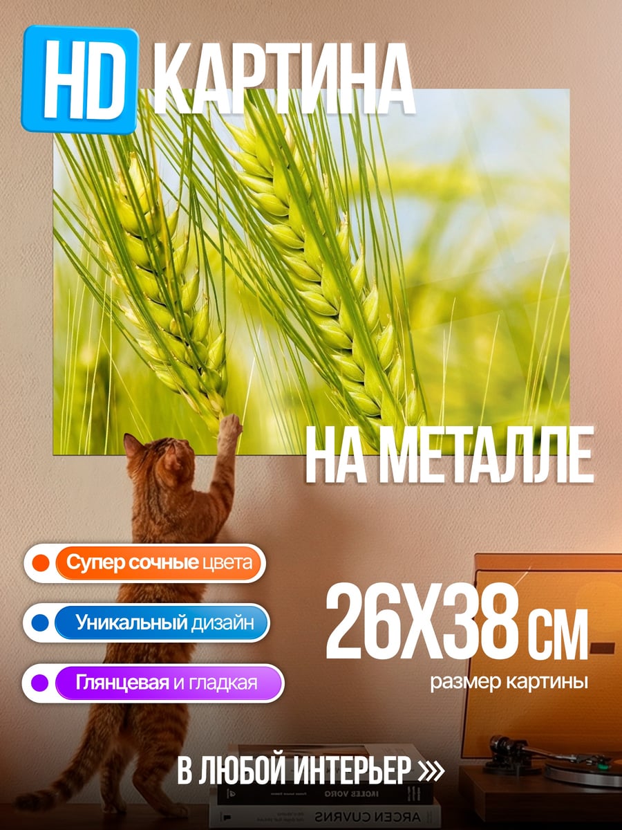 Картина на металле Колосья пшеницы