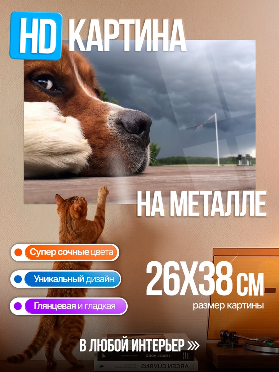 Картина на металле Собака и гроза