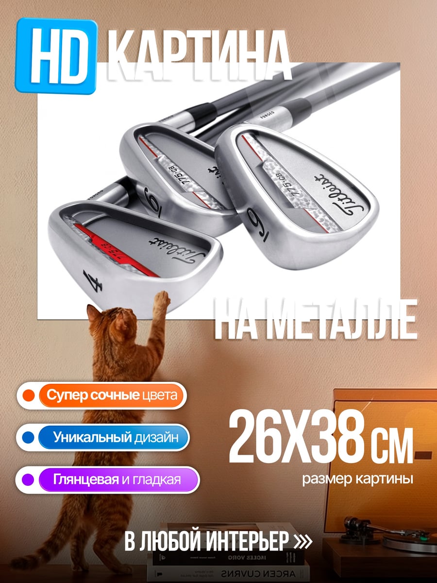 Картина на металле Клюшки для гольфа Titleist