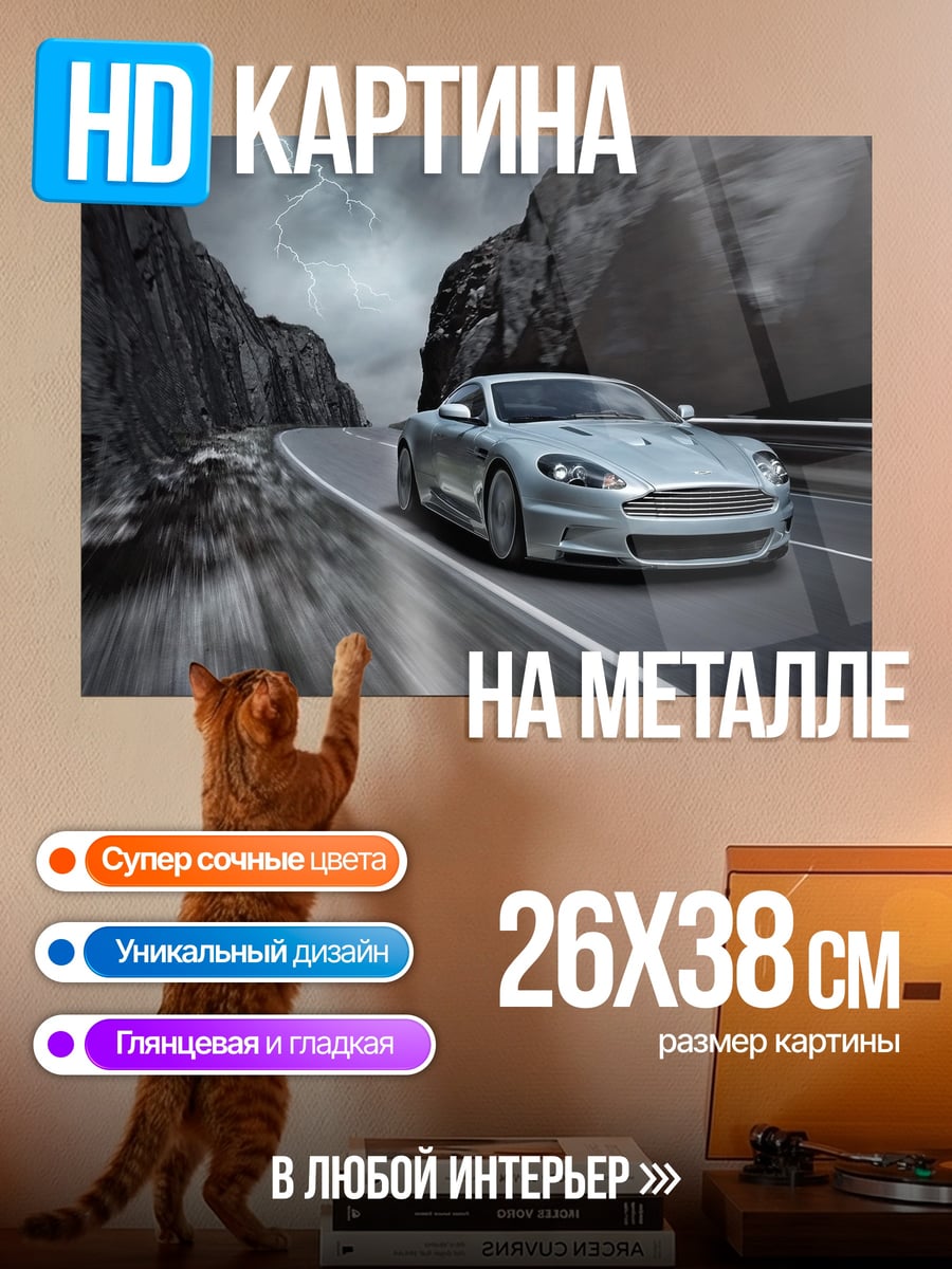 Картина на металле Серебристый спорткар