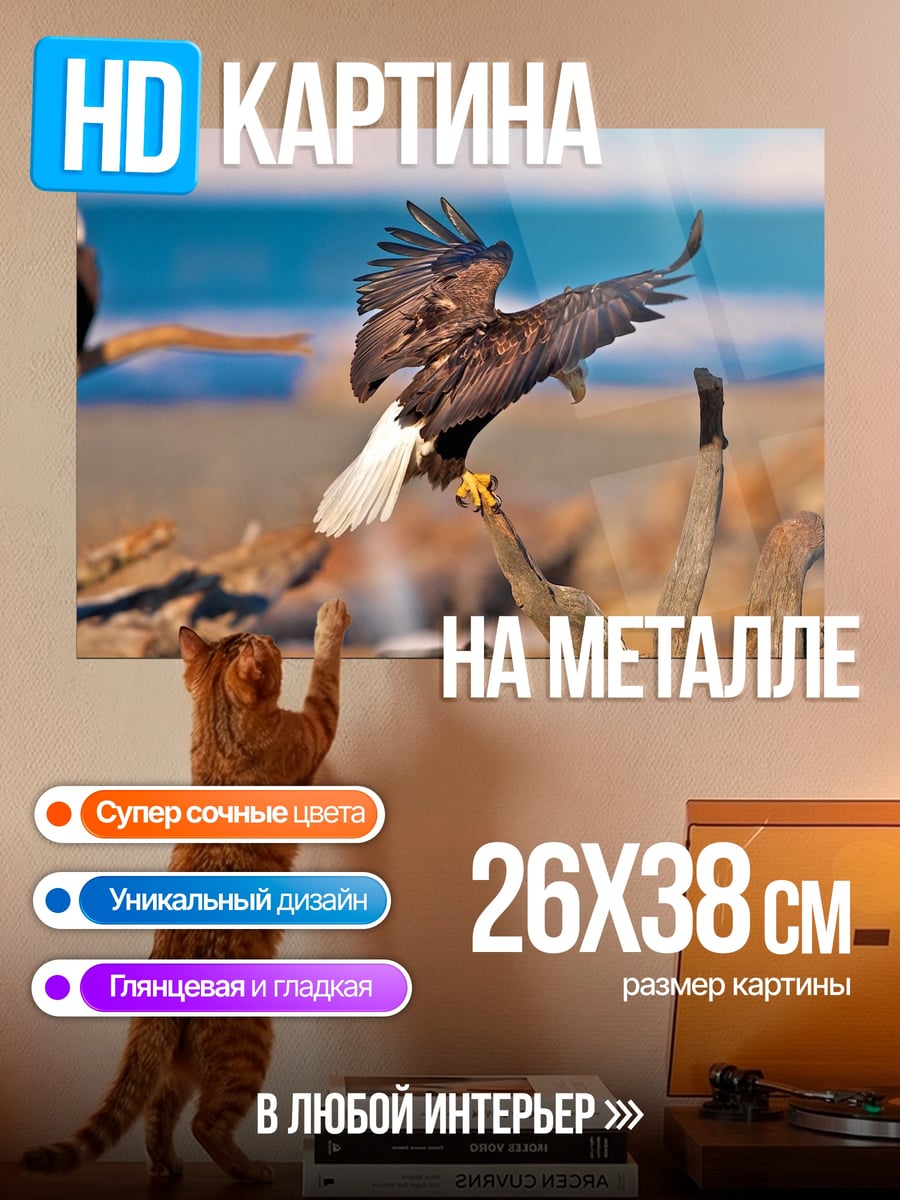 Картина на металле Орлы на берегу