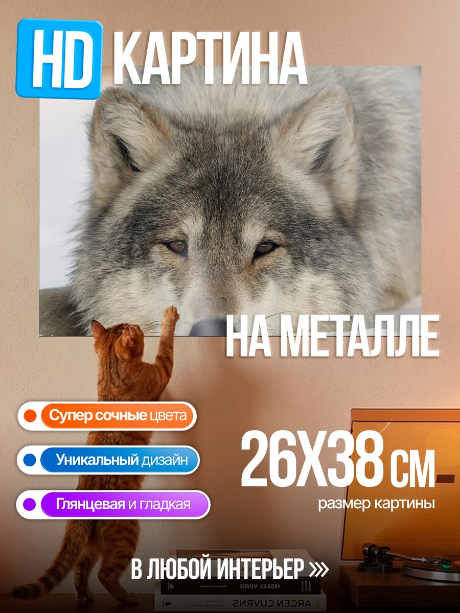 Картина на металле Волк лежит снег