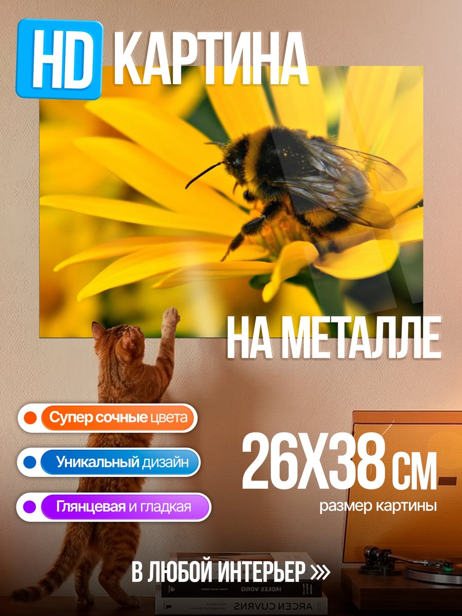 Картина на металле Шмель на цветке