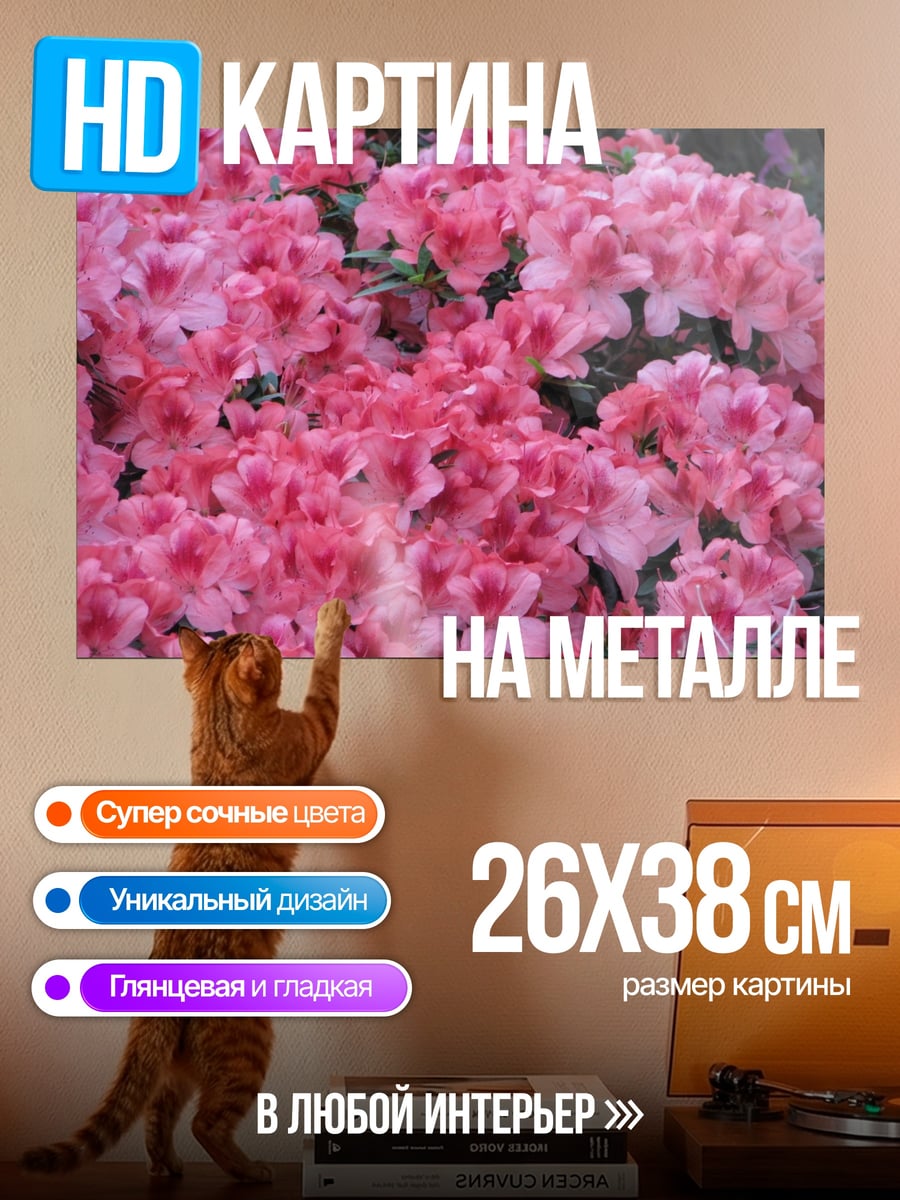 Картина на металле Розовые цветы азалии