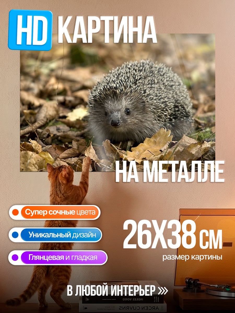 Картина на металле Ёжик в осенних листьях