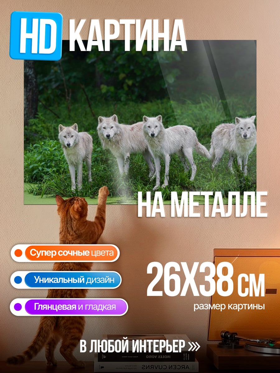 Картина на металле стая белых волков