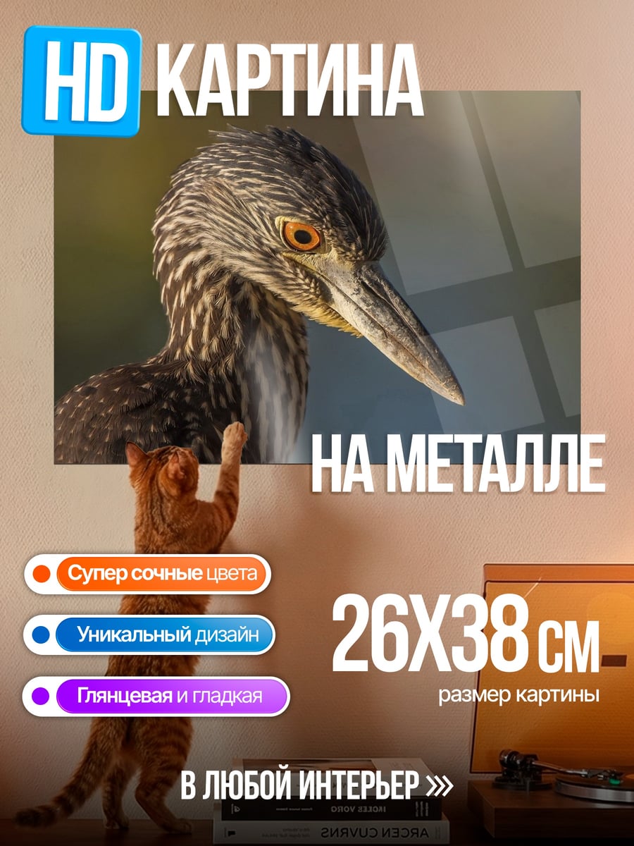 Картина на металле Птица с оранжевыми глазами