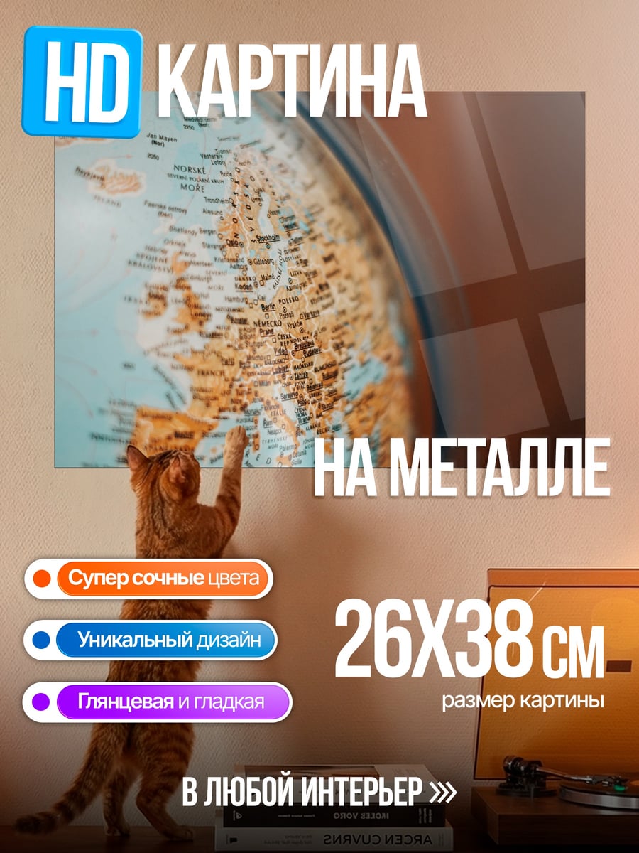 Картина на металле Карта мира глобус