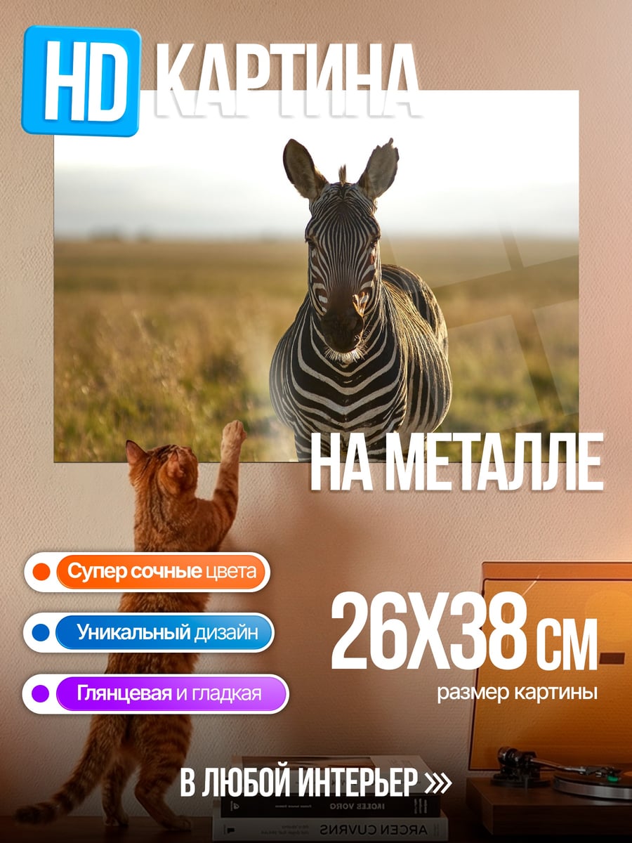 Картина на металле Зебра в саванне