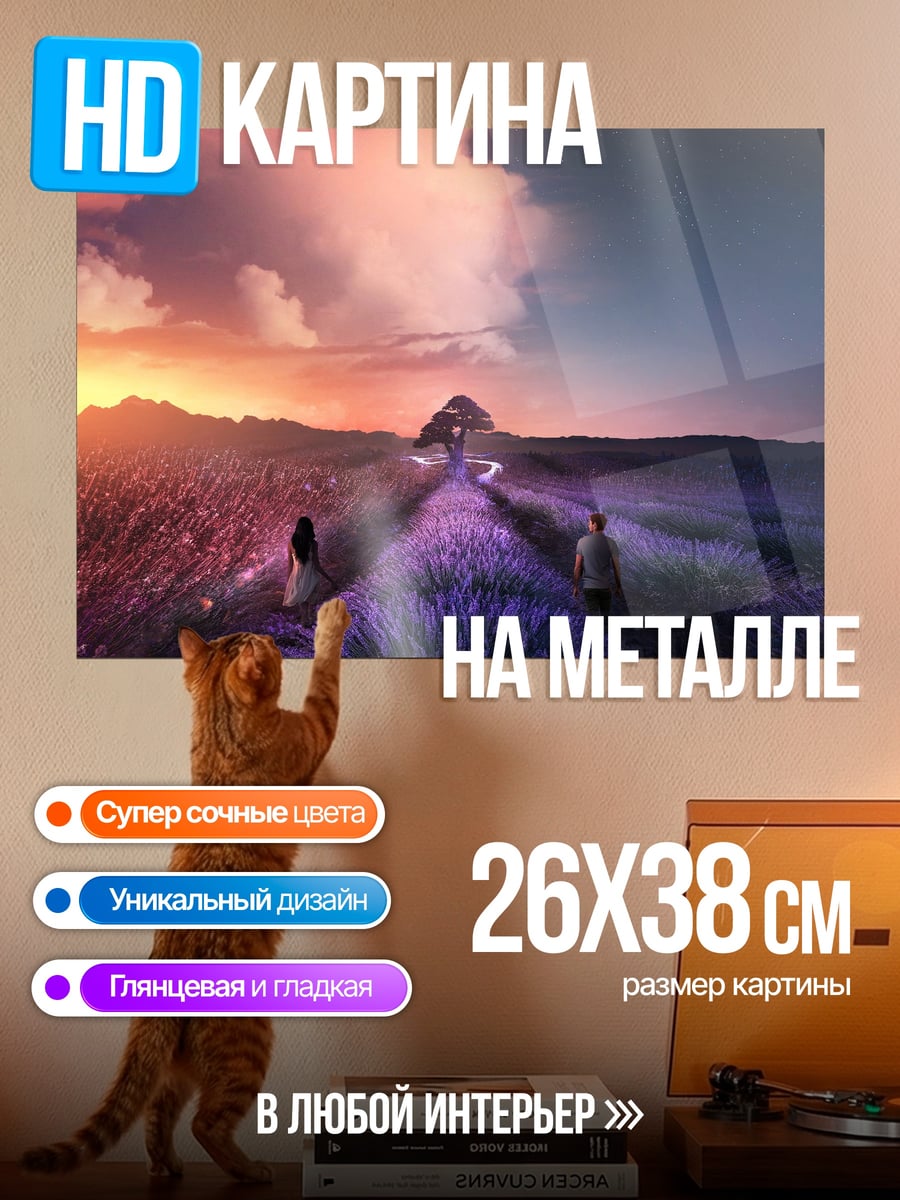 Картина на металле Пара на закате
