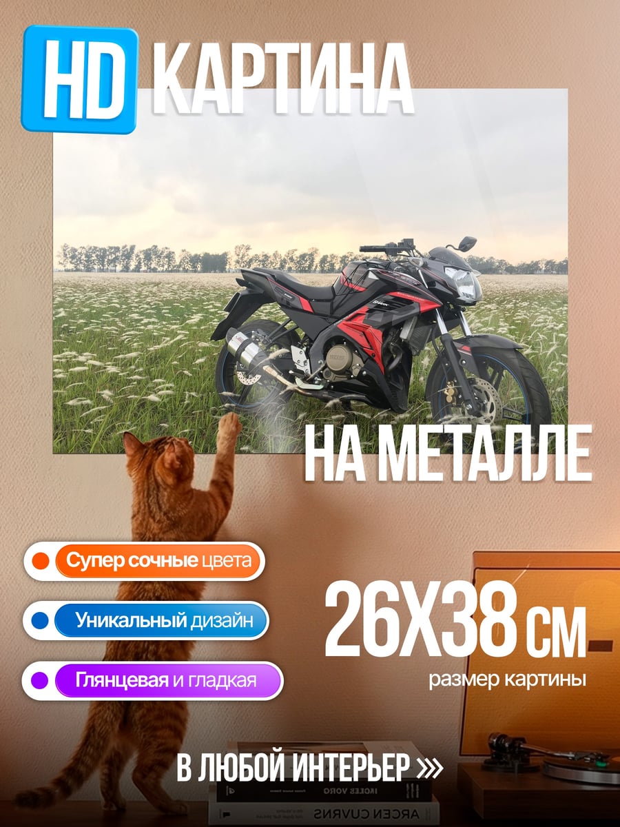 Картина на металле Спортивный мотоцикл в поле