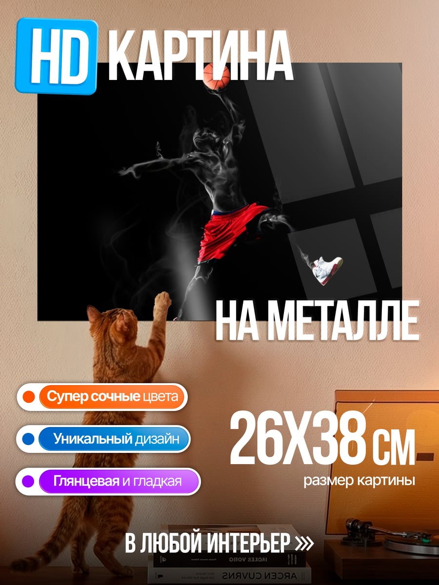 Картина на металле Прыжок Джордана