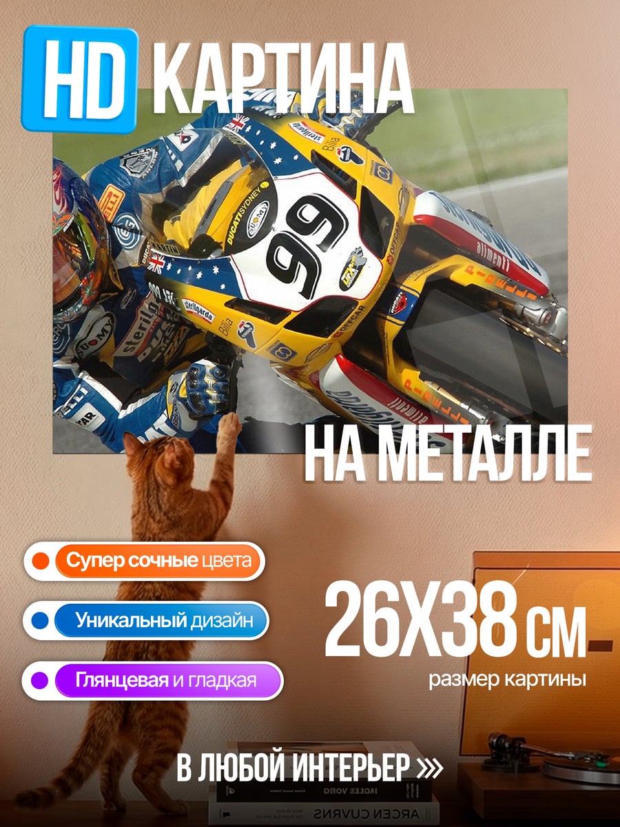 Картина на металле гонка номер 99